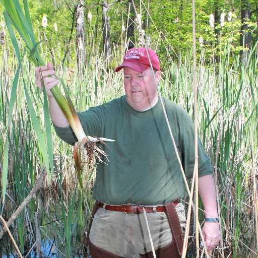 EdibleWildPlant's profile picture. Author of Alabama Edibles and Southeastern Edibles.
Check out my Forage USA website, http://t.co/YVVfecKssN