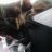 Profile Picture of Cute Little Kitty (@@SahirBryan) on Twitter