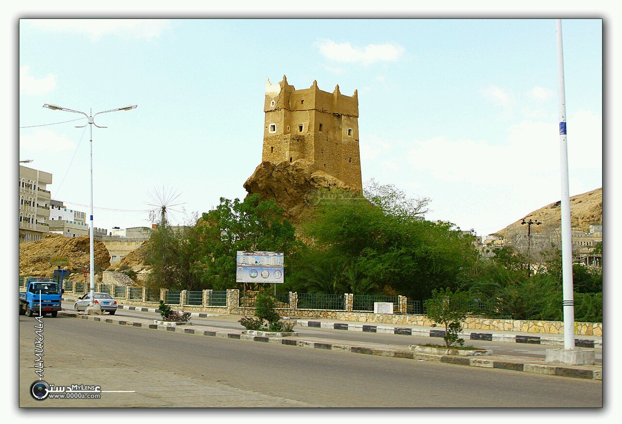 seeed7711's profile picture. 