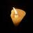 hcmy's profile image