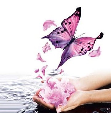 Discover You Again, created by Life Empowerment Coach, Lynda Larene, motivates women to rediscover their true self and embrace their beautiful new wings.