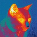 Cam Turner - @cameronsturner - Twitter