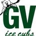 GV Ice Cubs (@gv_icecubs) Twitter profile photo