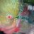 Twitter profile