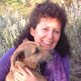 Raising awareness of human and animal rights Tweet by Tweet