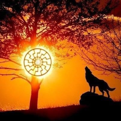 Astral8888888's profile picture. 