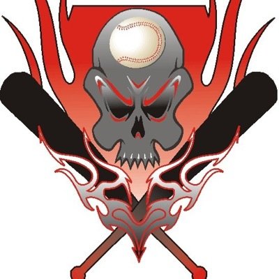 We are a human performance based baseball training company. We have been training baseball players for 20 years at every level from the bigs to little leagues.