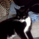 Jackie eagle - @littlenan52 - Twitter