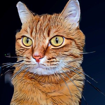 RedCat_Youtube's profile picture. 
