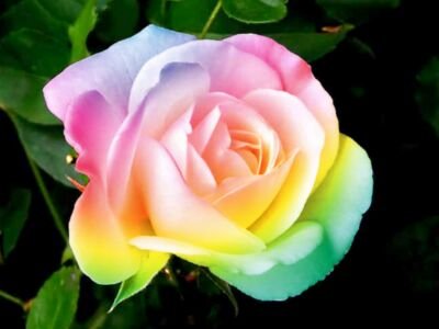 WarnerLexie's profile picture. a YouTuber who is very bad at making videos but I do it for the lols I do how to do and how to make videos. follow me ill follow you. xxx be epic