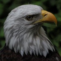 david zuskind (@dzuskind) 's Twitter Profile Photo david zuskind (@dzuskind) 's Twitter Profile Photo