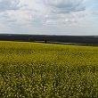 Polka mieszkajaca na Krasach, a dokladniej - na Ukrainie.