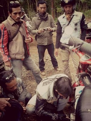 sinanglinx's profile picture. 