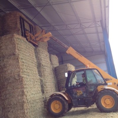 djksrobinson's profile picture. 