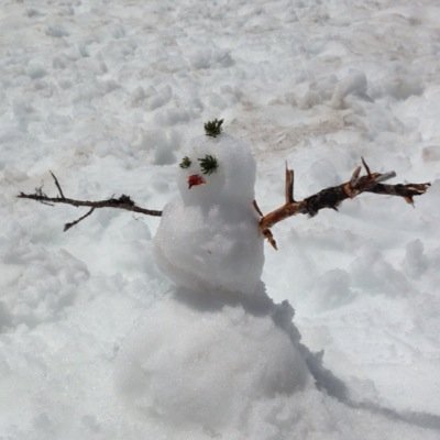 SwiftSoup's profile picture. Just a guy.