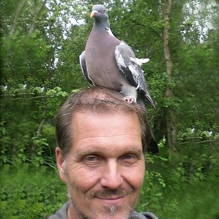 HenriBouwmeeste's profile picture. Vogelringer