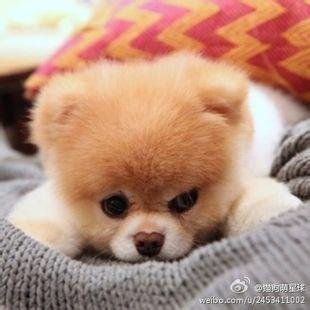 weiweide999's profile picture. Daily AI x Crypto Alpha | Beginner Tips to Earn