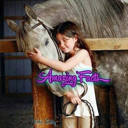 Amazingfactsna's profile picture. موقع متخصص في اثراء العقل البشري بكل جديد ومفيد
هدفنا تقديم كل ما هو مفيد في مجالات تقدم الابحاث العلمية وتطور حياة الانسان وكيانه