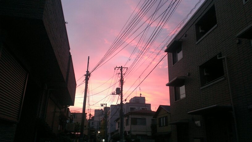 こんにちは、道産子 越後育ち、現在江戸下町在住です。よろしくお願いします~~*(゜)) .。o○