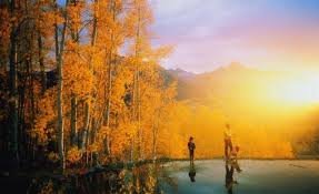 ke0fm1l's profile picture. 가을이다!