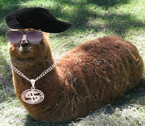 Le Lamasticot dominera le monde. Spread the #Lamasticot ! Bot crée par @LordV3nator