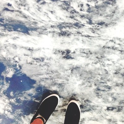 bearsakana's profile picture. 