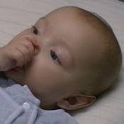 I am only a couple days old, so there is not much I can tell you about myself except that my parents are @spocktvulcan and @Lt_Nyota_Uhura.