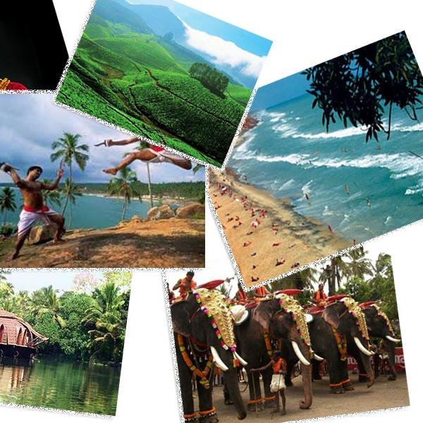 KeralaTourism5's profile picture. 