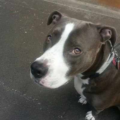 ZionVibe5's profile picture. OneLove