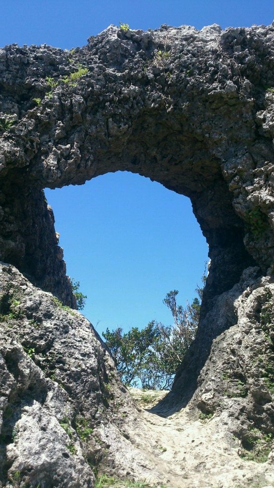 saikyoeda's profile picture. ランニング、縄文土器、喜界島、沖縄。
黒糖焼酎好きです。