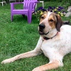 Brutontweets's profile picture. Homework, reminders, hockey scores, fun facts, and more! Google Classroom code: 43dwjzk - Reach me @ timothy.bruton@ddsb.ca