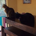 Claire Middleton - @ClaireMiddleto4 - Twitter