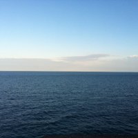 Teresa de Juan (@teresadjuan) 's Twitter Profile