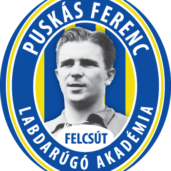 Puskás Ferenc Labdarúgó Akadémia - Felcsút