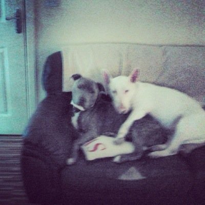 shelljenko's profile picture. 