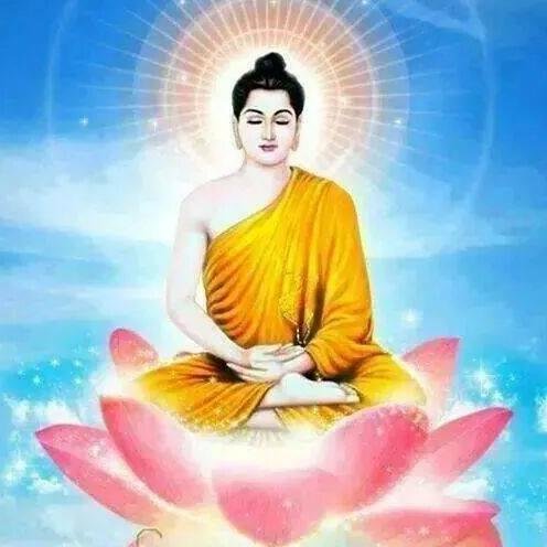 chantashiva's profile picture. 