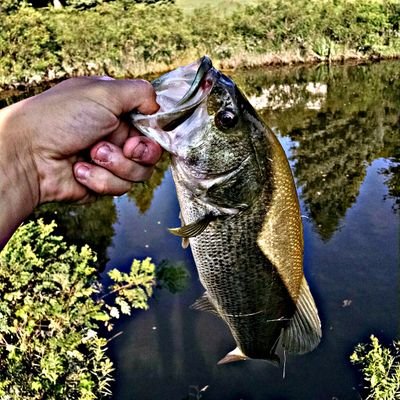 Rippin lips and wettin lines at all possible moments #TightLines Sponsors: Creme Lures, Rigged Fishing Apparel, McCoy Fishing Line, 5Limit Fishing