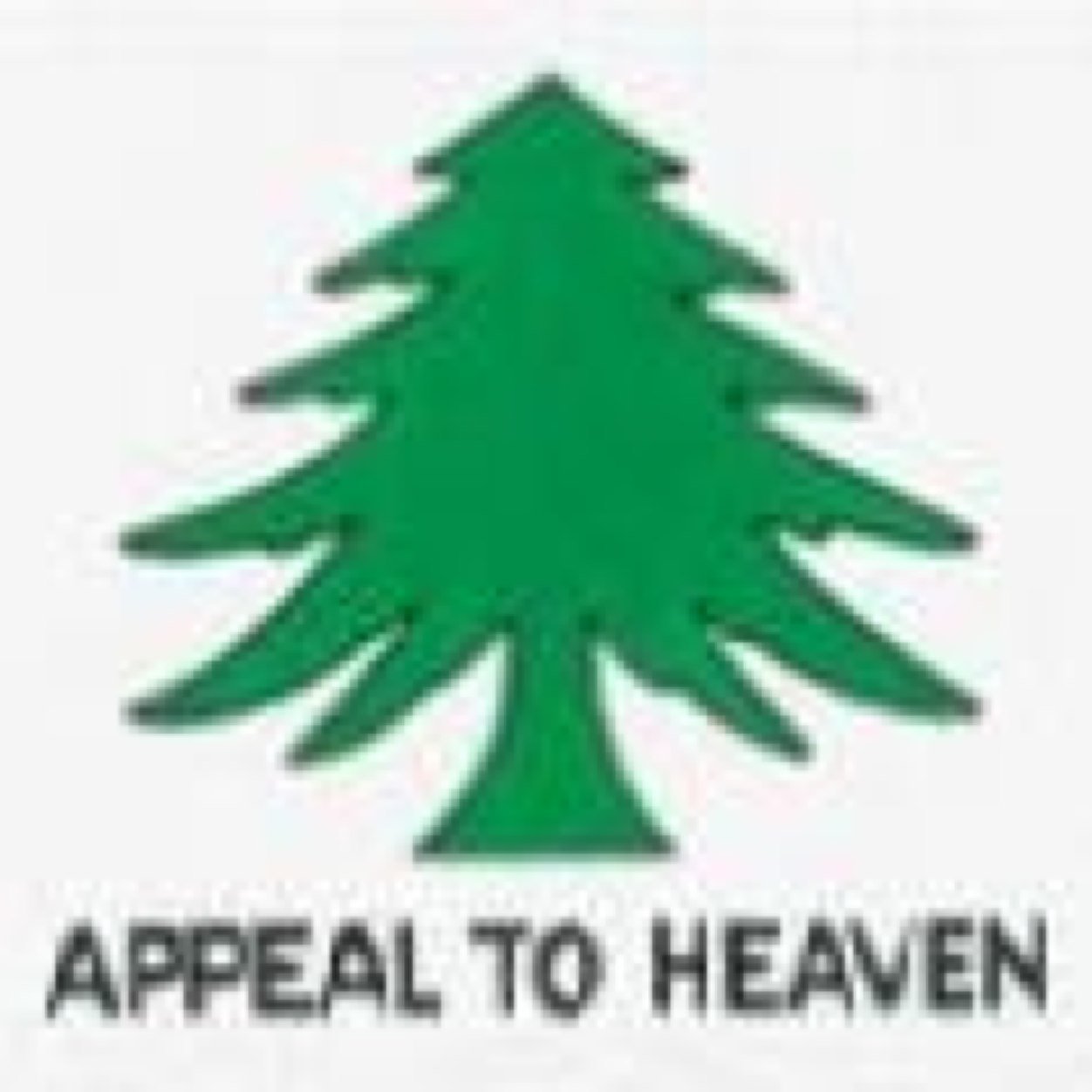 briangeraghty2's profile picture. MAGA