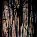 Alfonso Riccardo Moscariello - @al_mosca - Twitter