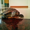 Abu Young - @AbuYoungENYO - Twitter