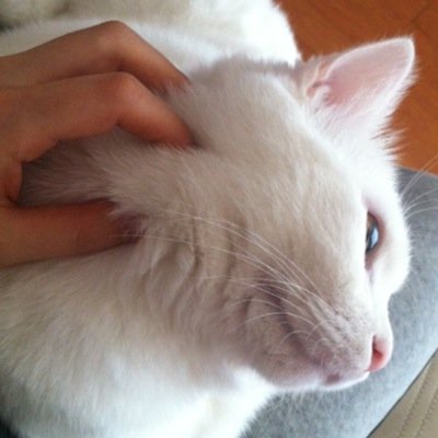 기록노동자