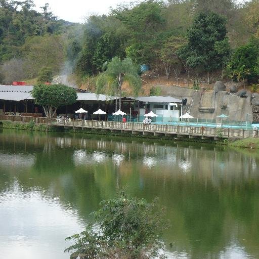 pachecoviana955 Profile Picture