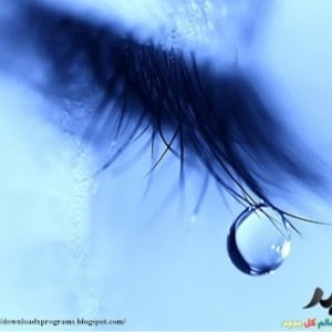 hujvub's profile picture. حسابي فقط للبنات كل مايخص البنات موجودانا ما اقبل الا بنات