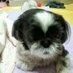 k hysun (@smk7605) Twitter profile photo