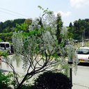jp_s44 (@0522S44) Twitter
