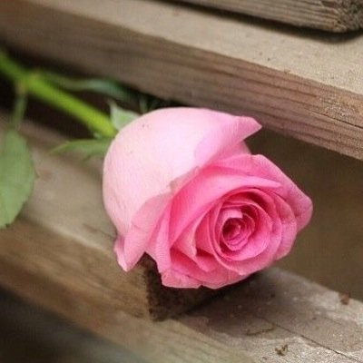 اعشق السفر والمناظر الطبيعية وروائح المروج الخضراء