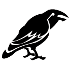 UnidareRFC's profile picture. Founded in 1958 and bringing rugby to Ballymun and Finglas. New members are always welcome and we train every Tuesday and Thursday.