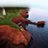 AerialQuadDrone's profile image