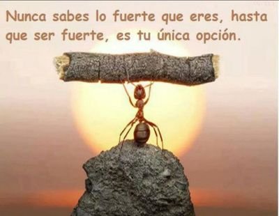 Dala120614Lares's profile picture. 