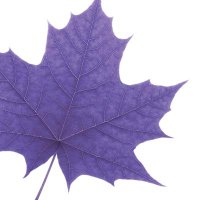 Laurier Science (@lauriersci) 's Twitter Profile